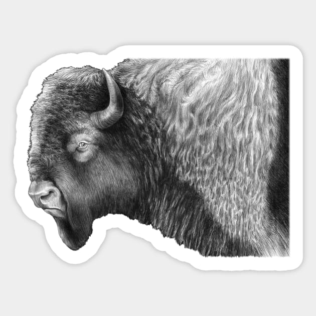 Buffalo Sticker by Tim Jeffs Art